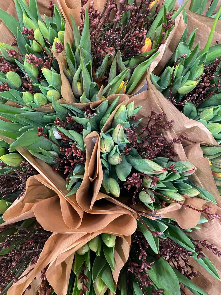 Min Købmand i Asp tilbyder tulipaner til ja tak pris 65 kr - afhent inden fredag