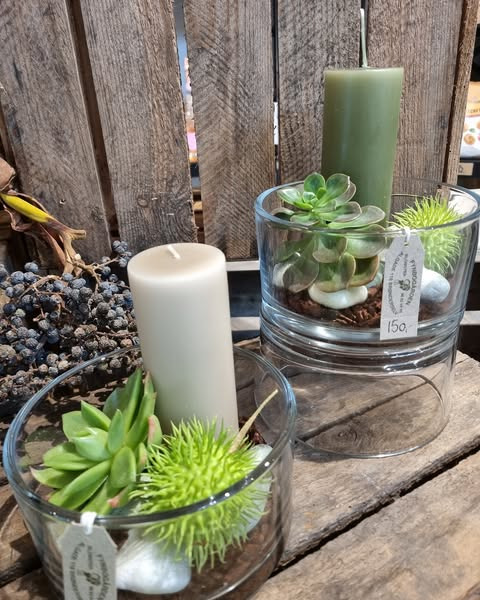 Fynbogården Blomster ApS tilbyder ugens overraskelse med dekoreret glasskål til særpris