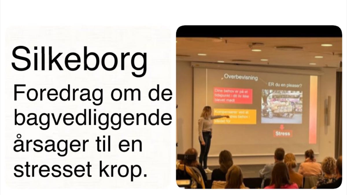 Foredrag om traumer, tankemylder og stress i Silkeborg