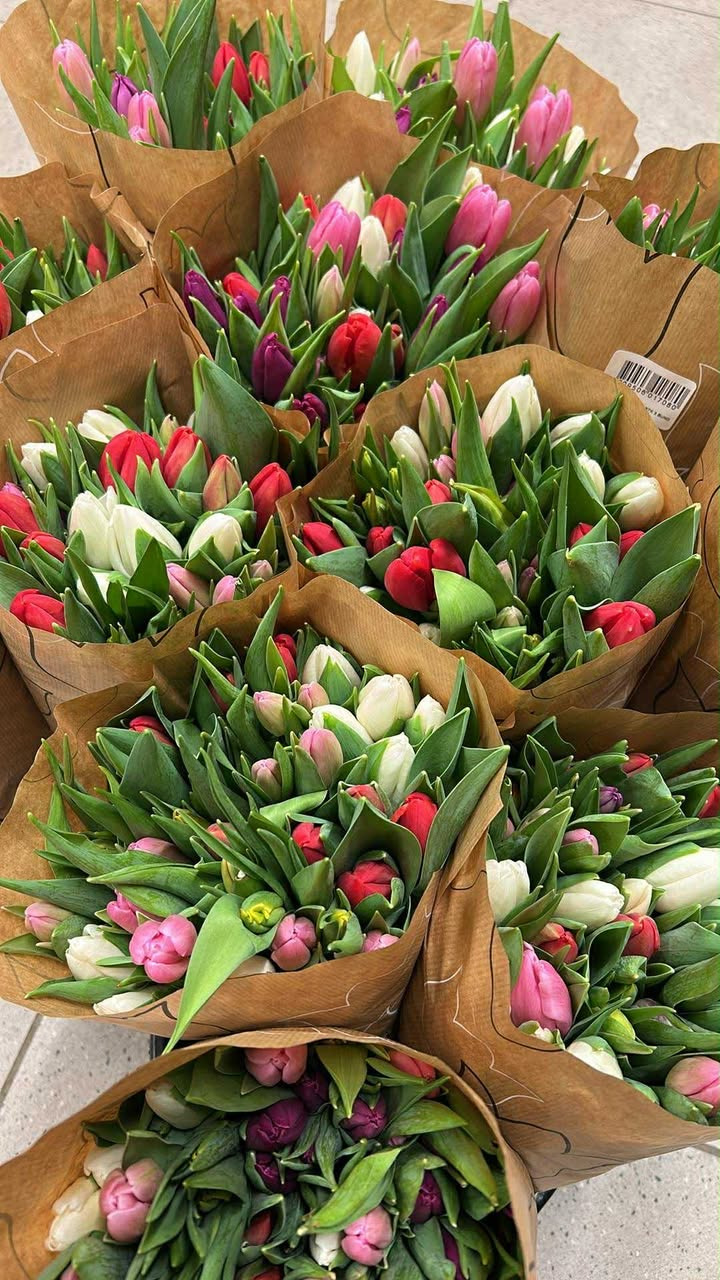 Min Købmand i Asp tilbyder 50 tulipaner for kun 99 kr