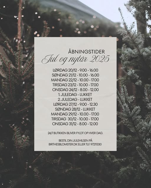 Julestemningen er ankommet hos Birthes Blomster