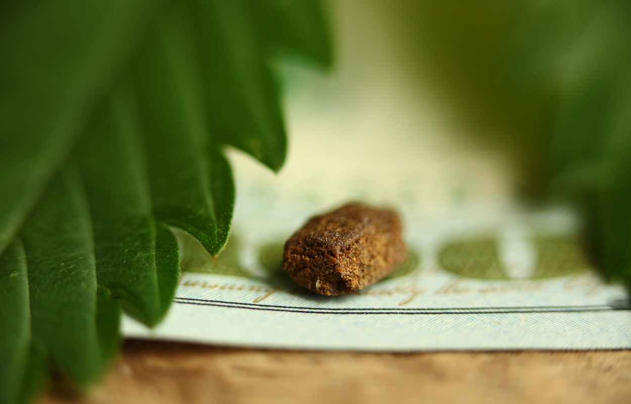 Narkohundene Vaks og Fister snuser sig frem til hash i Farum
