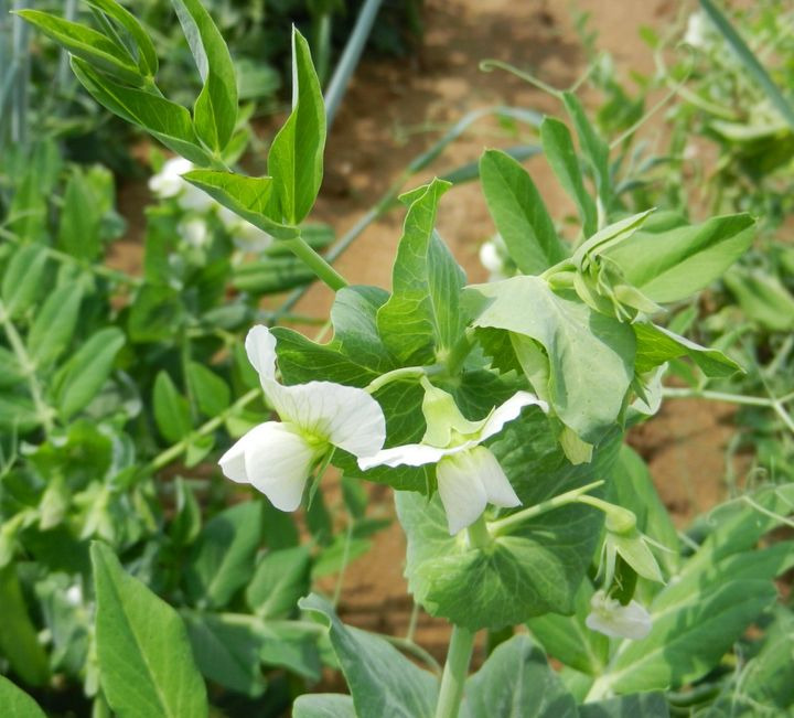 Det nyeste på Viby Js opslagstavle