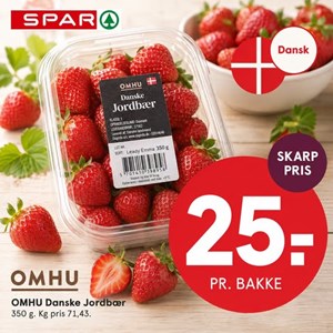 Opslagsbillede