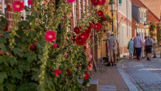 Flere udenlandske turister giver markant fremgang for Viborgs turisme i juli