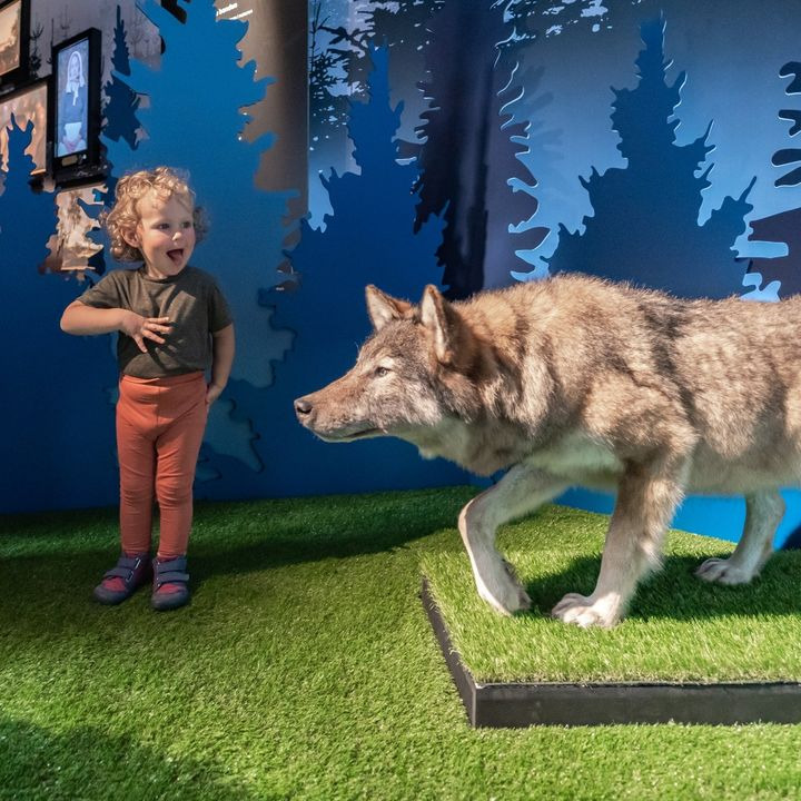 Se dagens updates fra Holstebro her