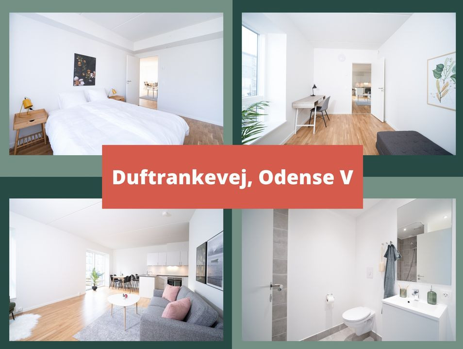 En finger på pulsen i Odense