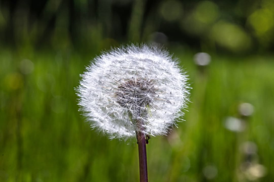 NordVestBO annoncerer sommerferieperioder for kontorer i Holstebro og Struer