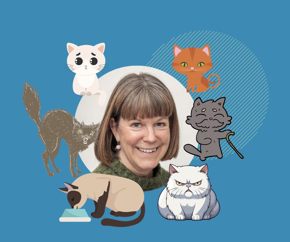 Foredrag om katteadfærd med Karina Dillon i Randers