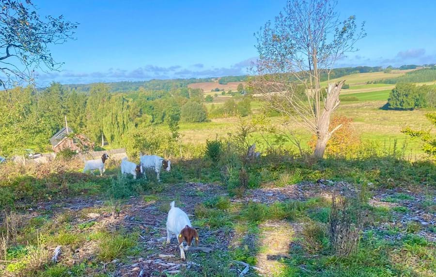Indvielse af Oldermandshøjen