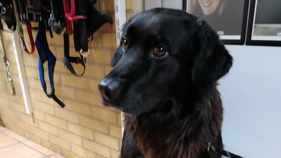 En finger på pulsen i Risskov