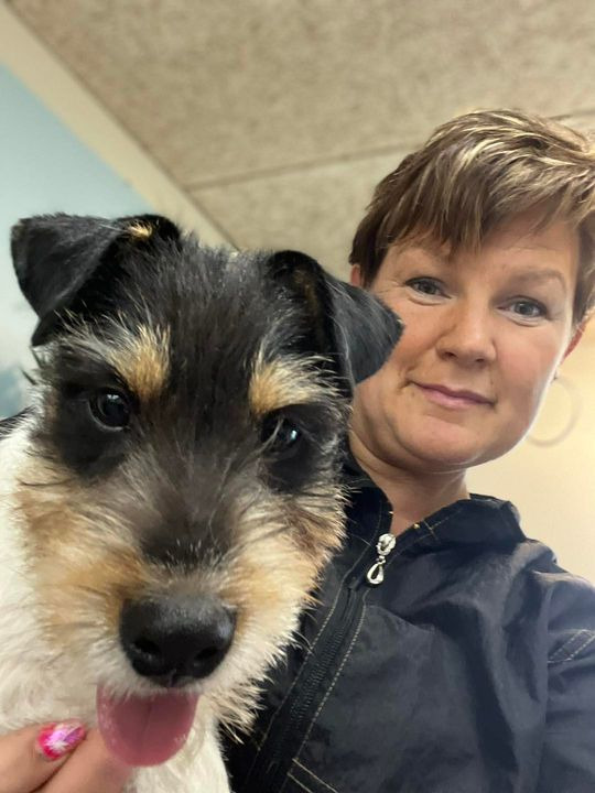 Opslagstavlen: Nyeste opdateringer fra Sæby