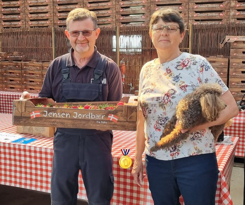 Hold dig ajour med dagens opdateringer fra Sæby