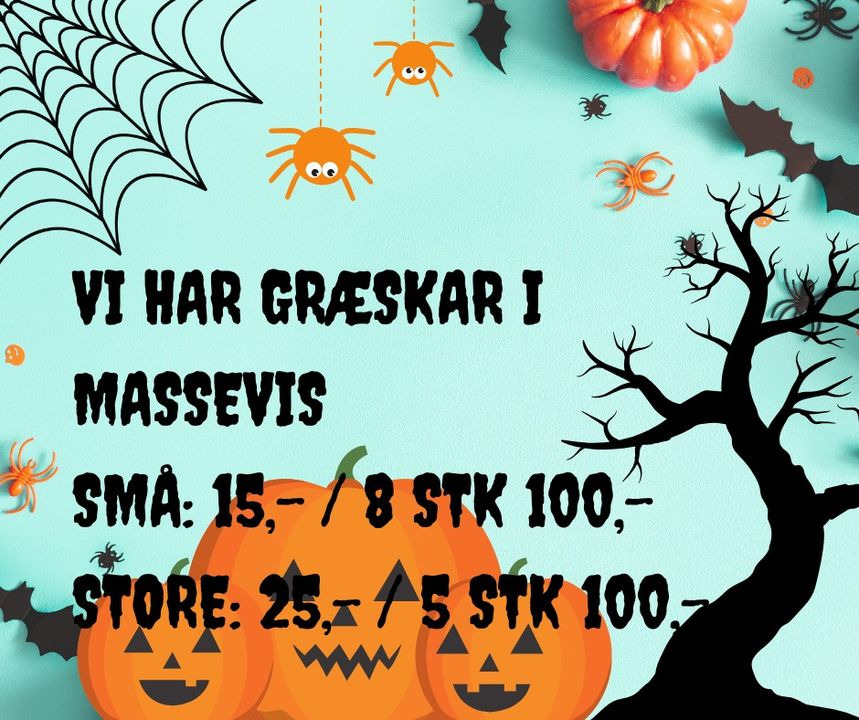 Se dagens updates fra Sæby her