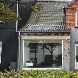Opslagsbillede
