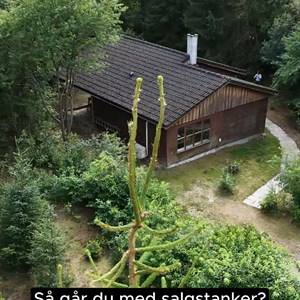 Opslagsbillede