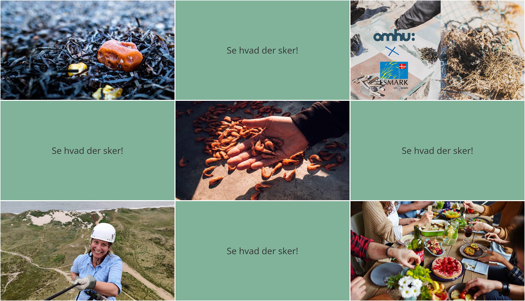 Udforsk Hvide Sande: Ravjagt, madoplevelser og rappel i fyrtårnet