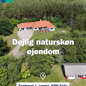 Opslagsbillede