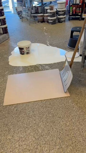 opslagsbillede