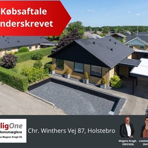Opslagsbillede