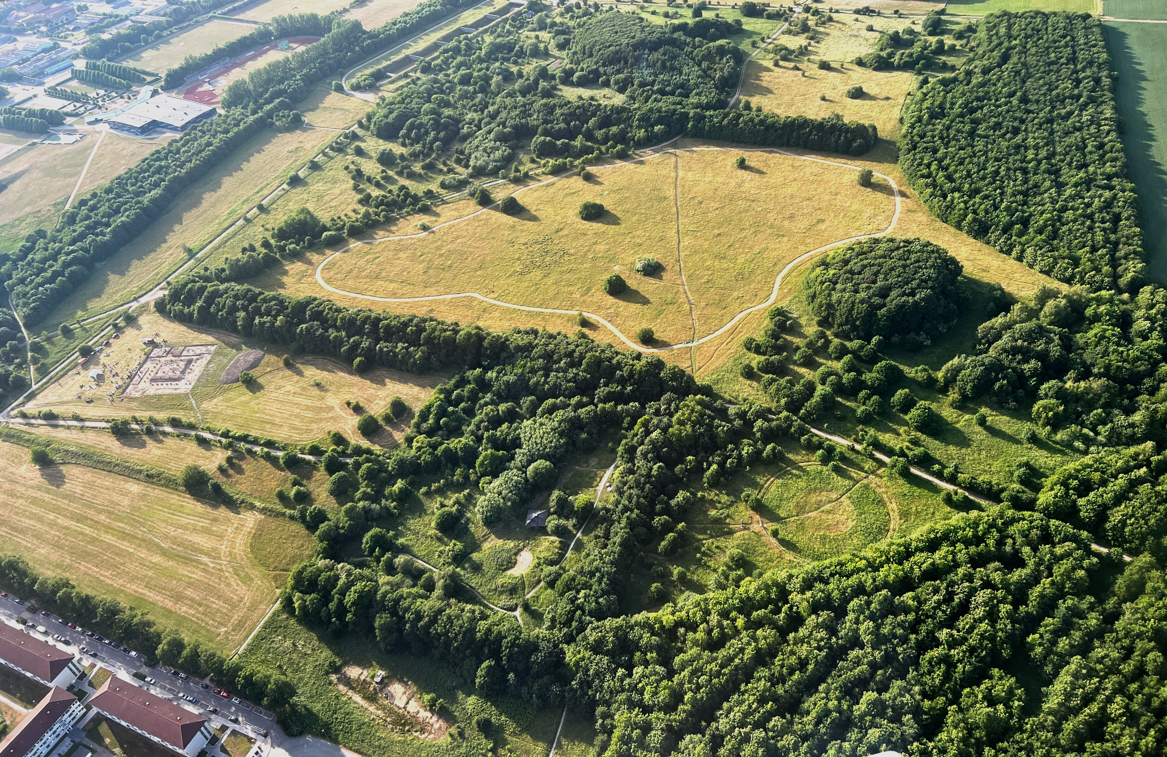 Kom til naturfestival på Nordre Fælled i Randers