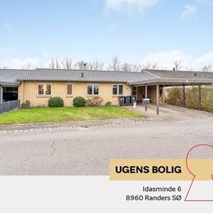 Opslagsbillede