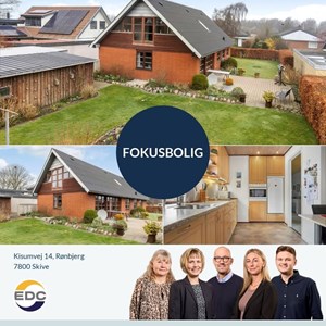Opslagsbillede