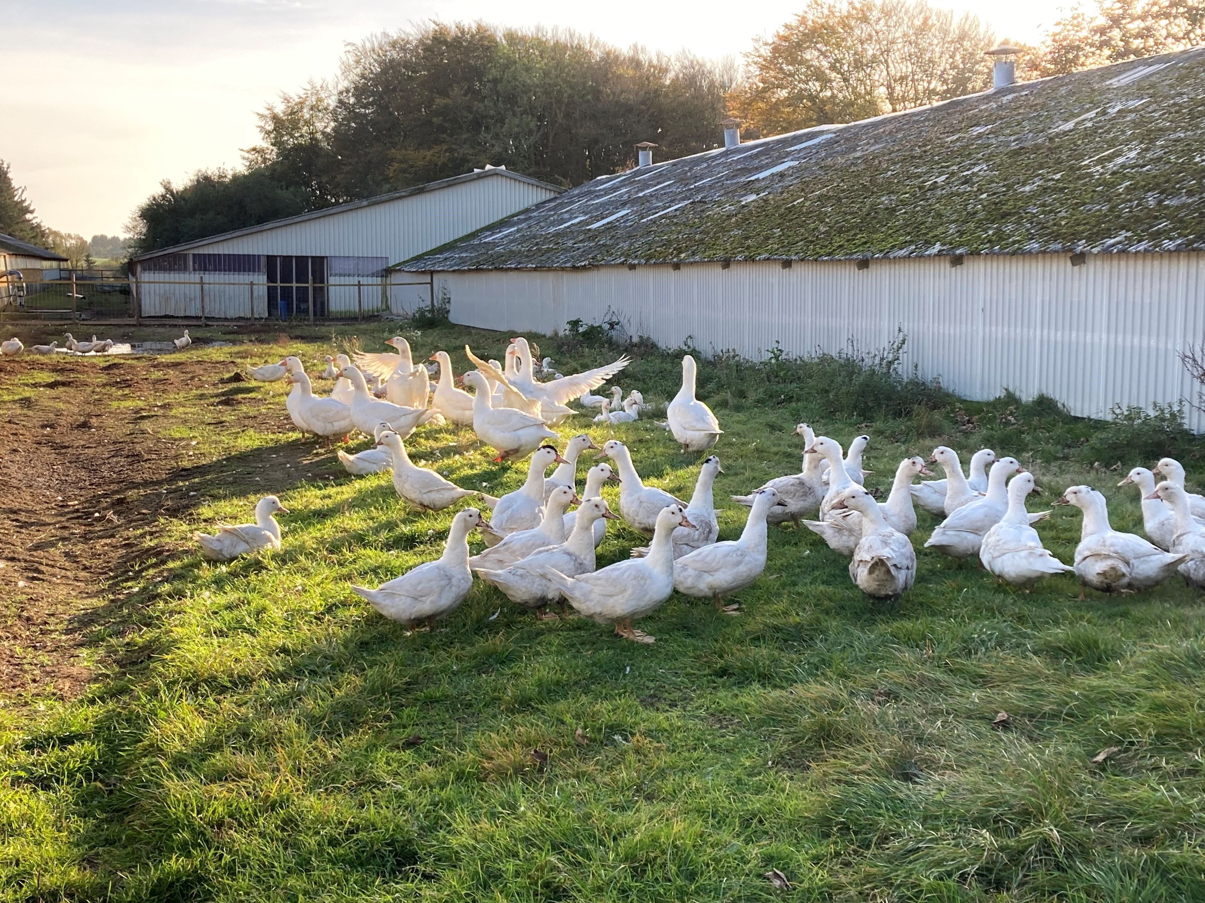 Det nyeste på Hjørrings opslagstavle