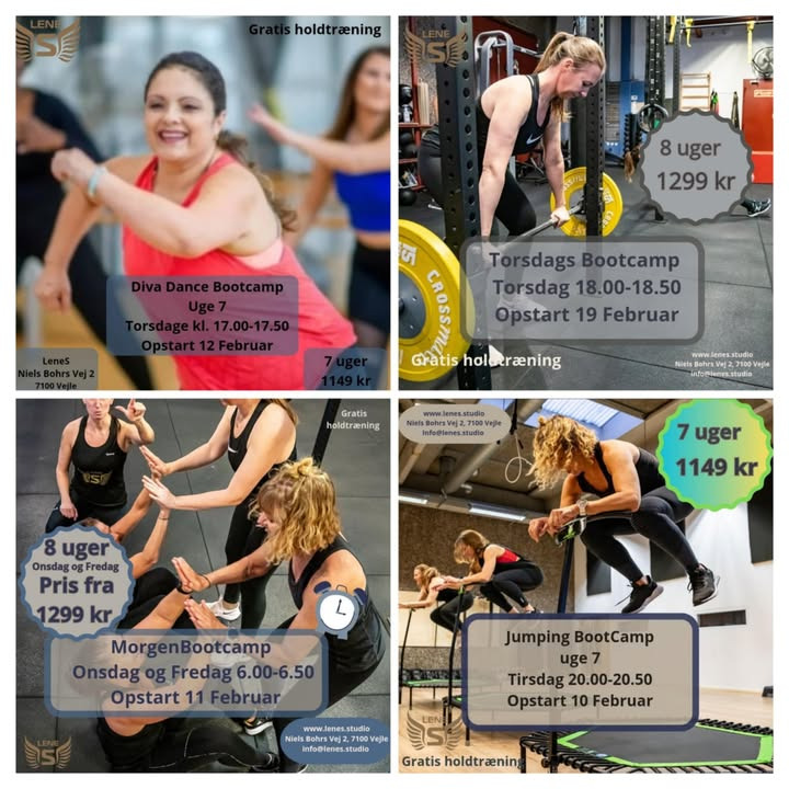 LeneS annoncerer nye bootcamps med opstart i uge 7 og 8