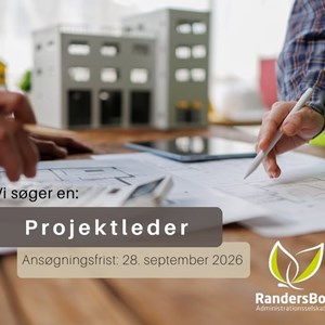 Opslagsbillede