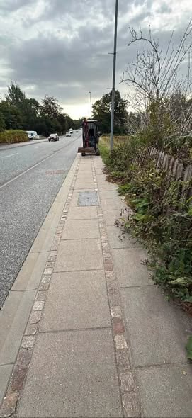 opslagsbillede