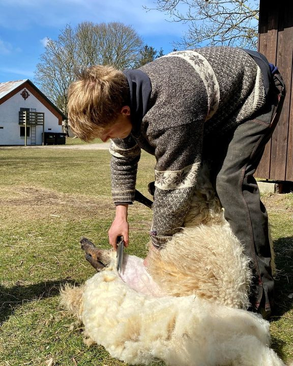 Se dagens updates fra Hjørring her
