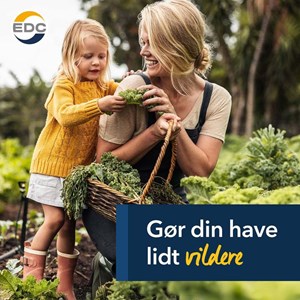 Opslagsbillede