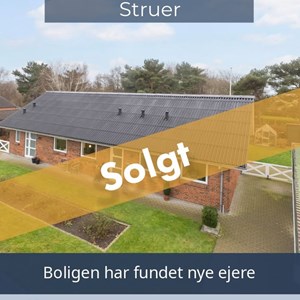 Opslagsbillede