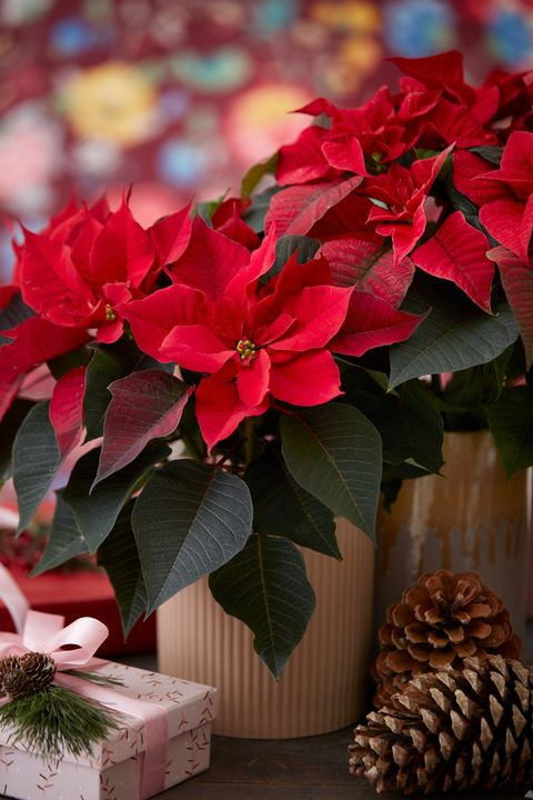 Hold trit med lokalområdet: Nyt fra Viby J