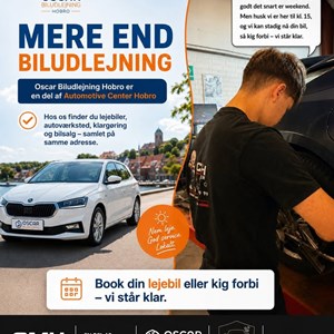 Opslagsbillede