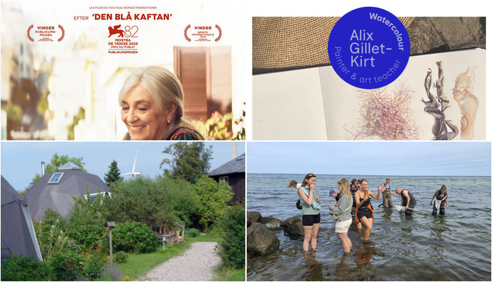 Spændende Weekend i Hundested: Film, Kreativitet og Natur