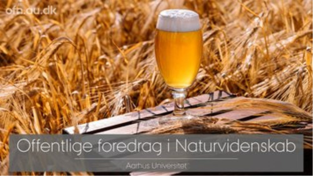 Videnskab og øl: Dyk ned i Carlsbergs forskning