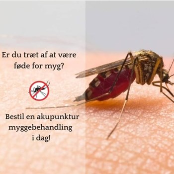 Opslagsbillede