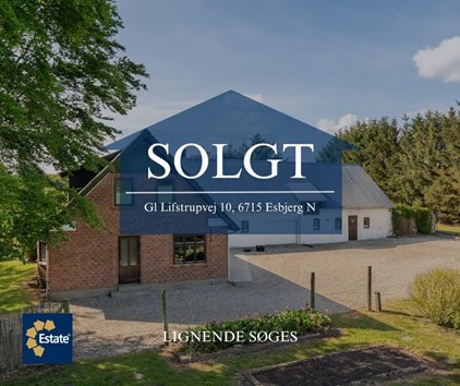 Estate Robin Thybo Esbjerg & Varde fejrer salg af charmerende landvilla i Lifstrup