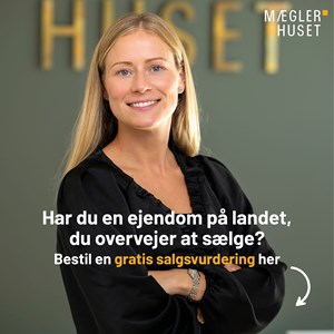 Opslagsbillede