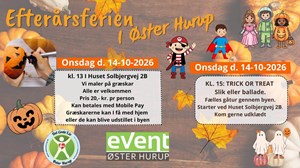 opslagsbillede