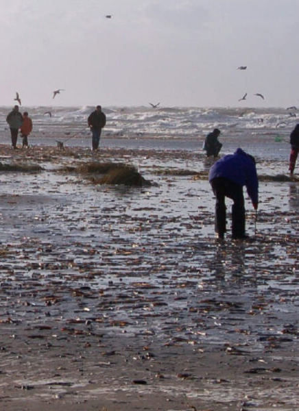 Tag på spændende ravjagt med NaturNørd i Blåvand
