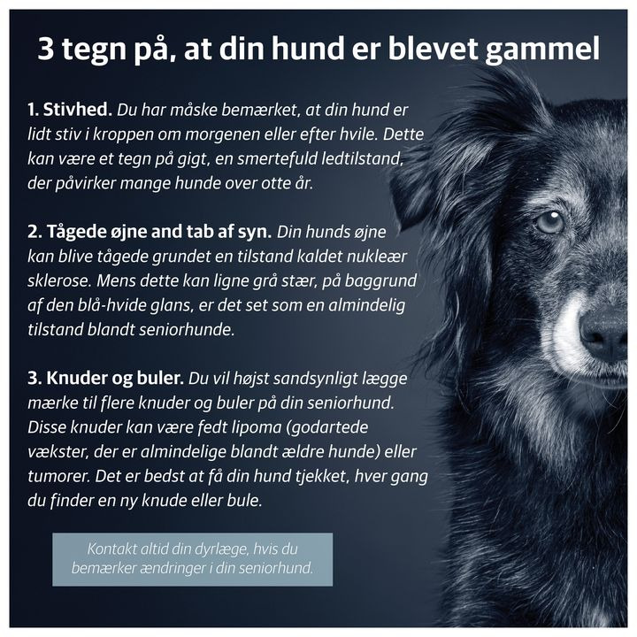 Nyt på opslagstavlen i Hjørring