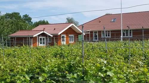 Rundvisning og vinsmagning på Domaine Nyballe