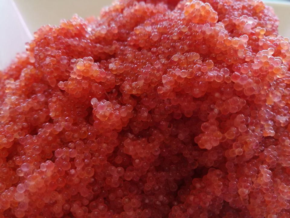 Det nyeste på Koldings opslagstavle