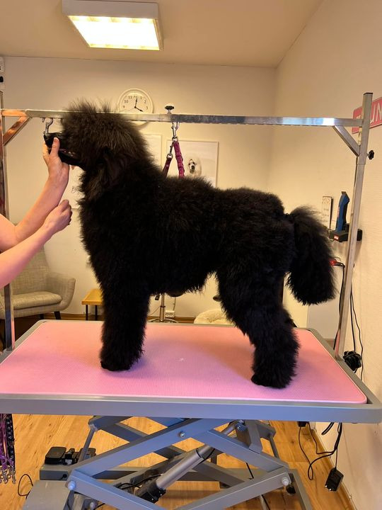 Opdatér dig her: Det nyeste fra Vejle