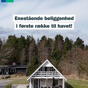 Opslagsbillede