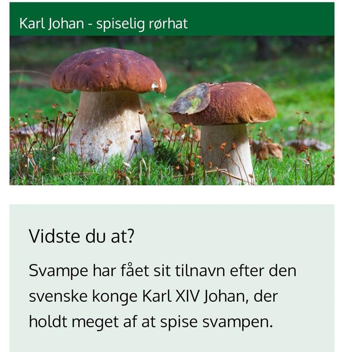 Nyt på opslagstavlen i Skive