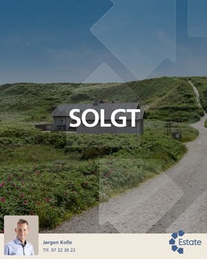 opslagsbillede